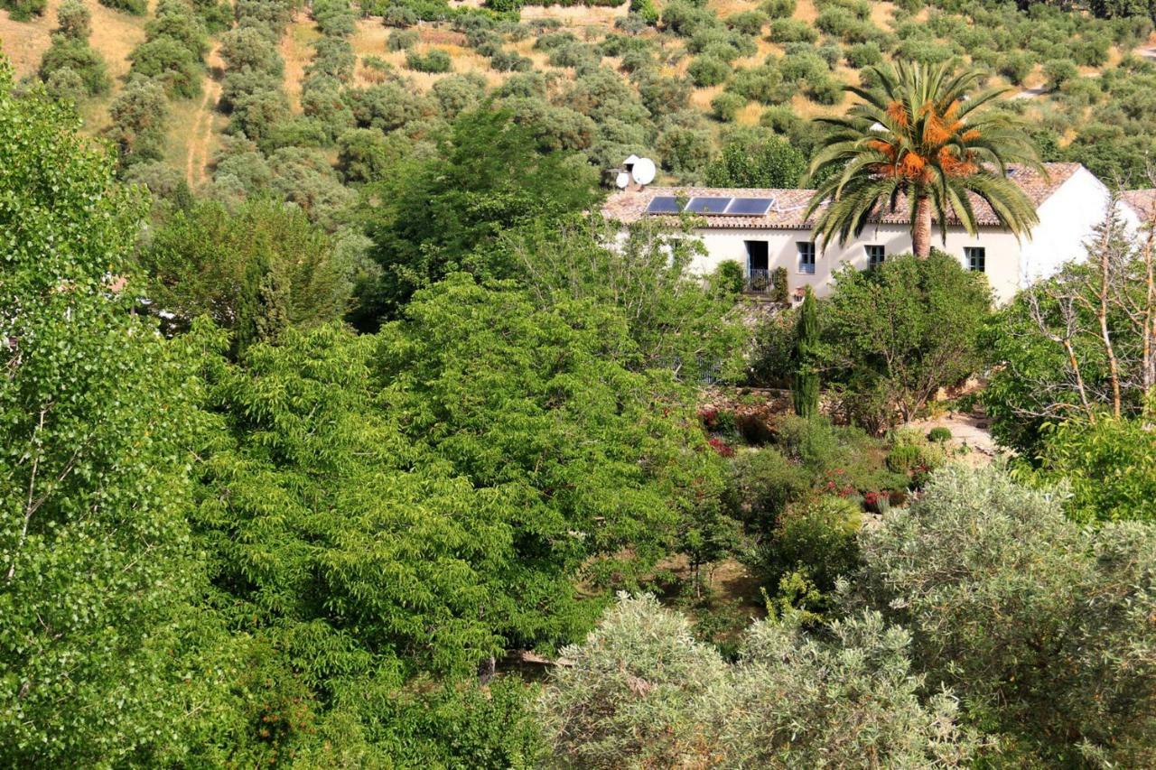 Beautiful Country House Near Ronda Arriate Kültér fotó